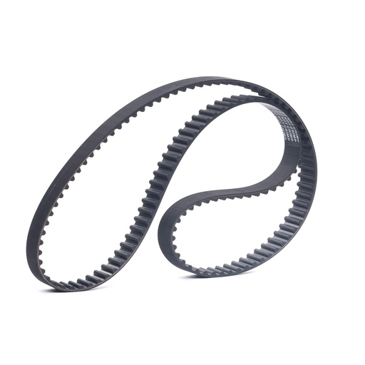 [MG7748] CORREA TIEMPO MG I, CL 2, SYM (2 - 3), SC 1.6, KG 1.6, SAND. 2013 (132 d) RIDEX GERMANY